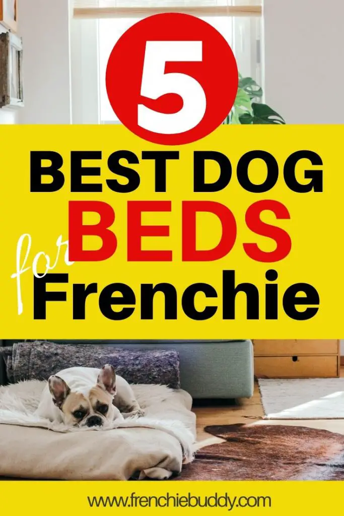 The 5 Best Dog Beds for French bulldog in 2020